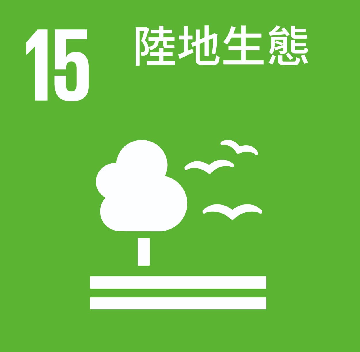 icon1